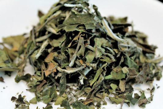 Discover White Tea: A Delicate Brew with Big Benefits