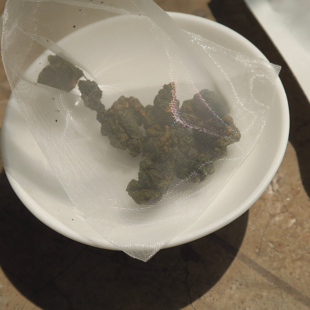 阿里山金萱烏龍